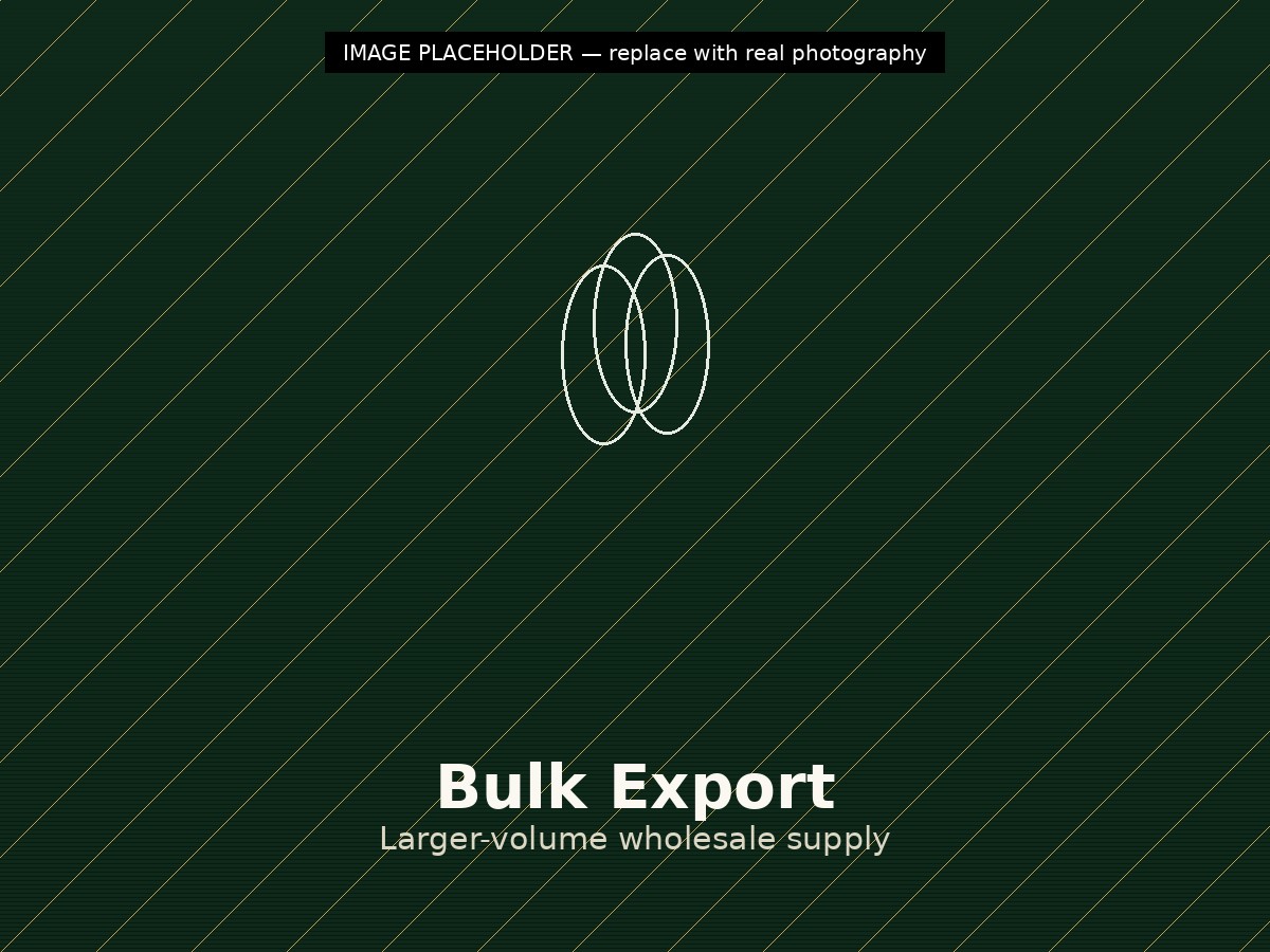 Bulk Export